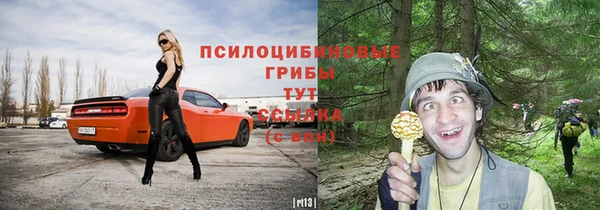 ALPHA PVP Лиски