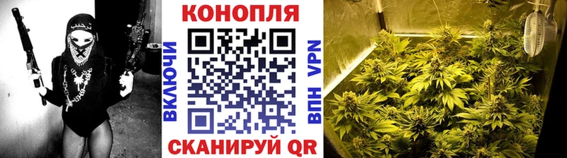 Купить закладки  Мончегорск  Канабис марихуана 